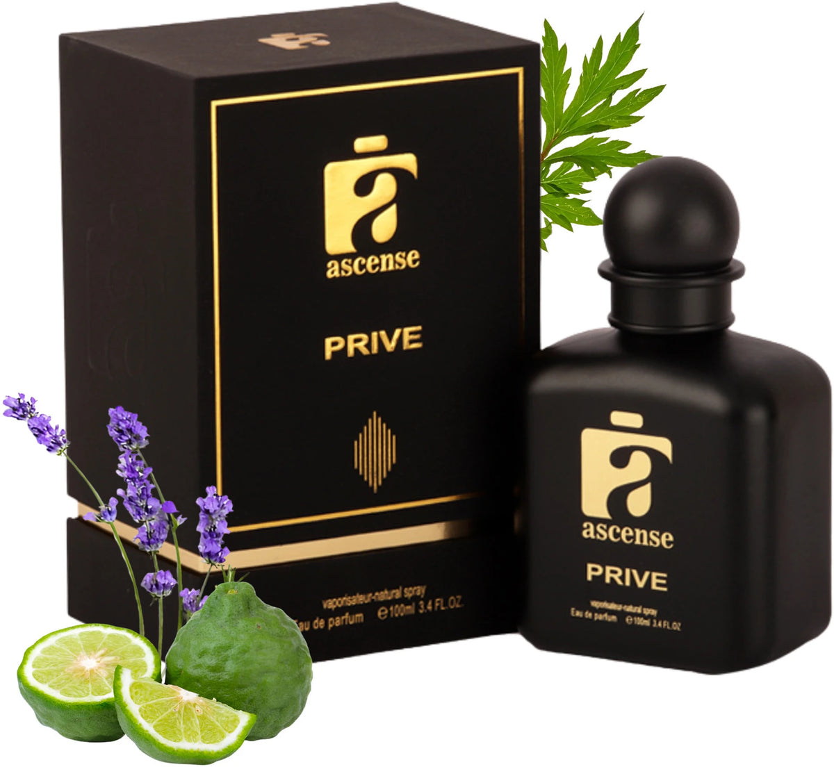 ASCENSE LONDON PRIVE 100ML