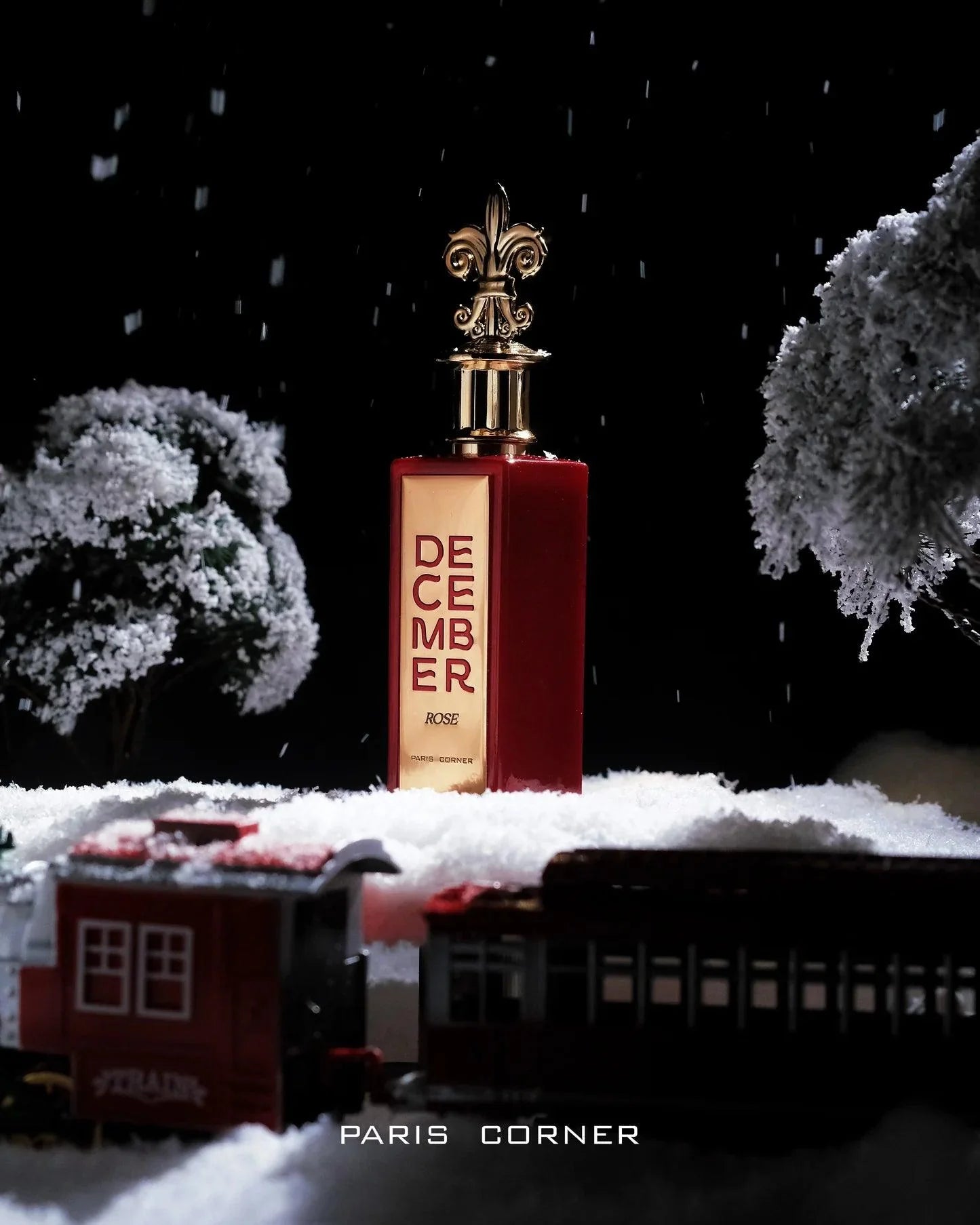 PARIS CORNER DECEMBER ROSE