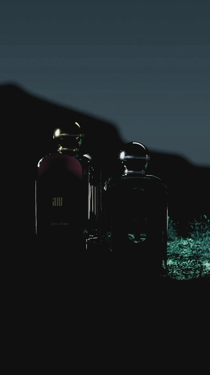 AFNAN 9 PM Pour Femme